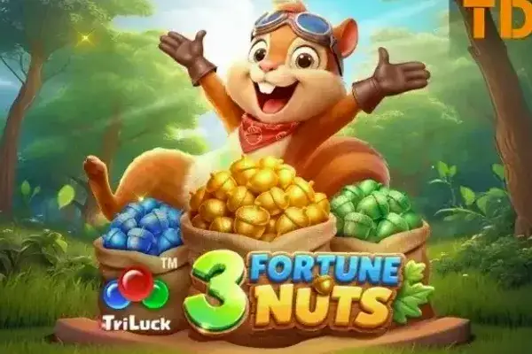 3 Fortune Nuts